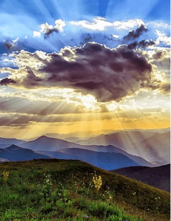 Christopher Pollins Obituary